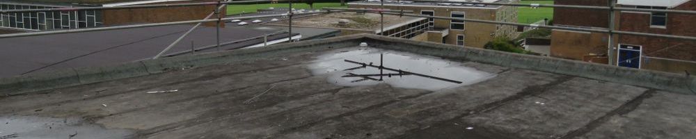 dakreparatie plat dak in Harderwijk